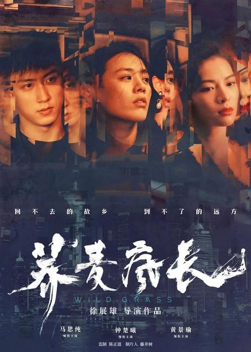 中专没有学位证书怎么办